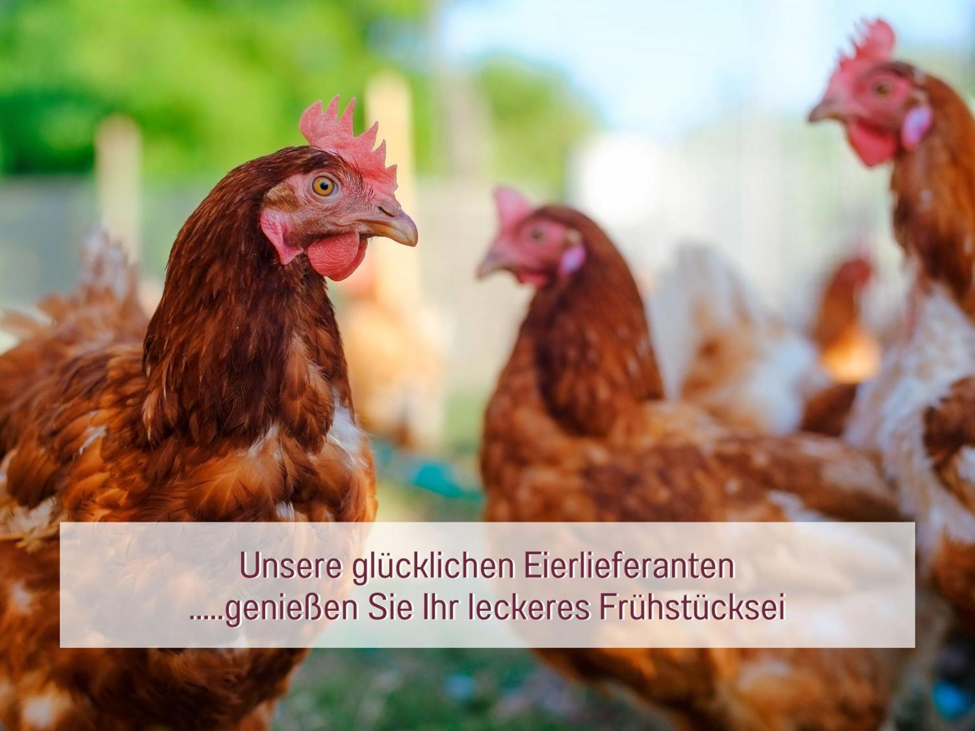 Designerwohnungen "Beim Schmied" In Chiemseenaehe Traunreut Luaran gambar