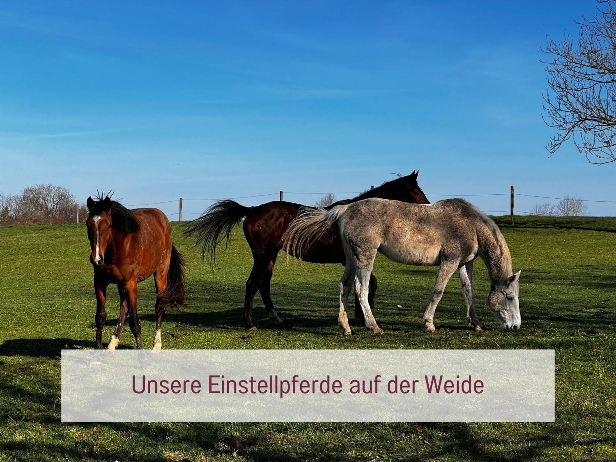 Designerwohnungen "Beim Schmied" In Chiemseenaehe Traunreut Luaran gambar