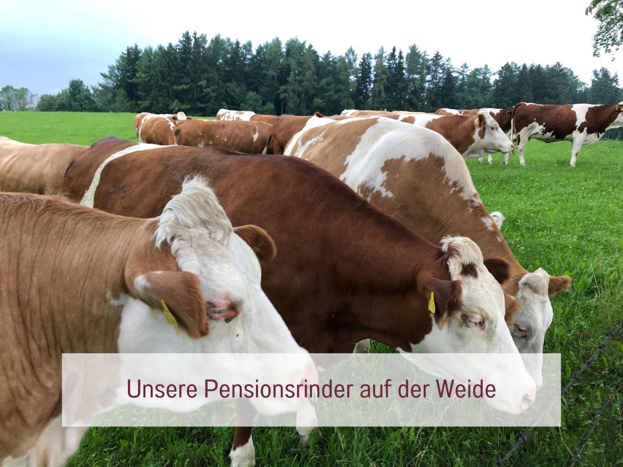Designerwohnungen "Beim Schmied" In Chiemseenaehe Traunreut Luaran gambar